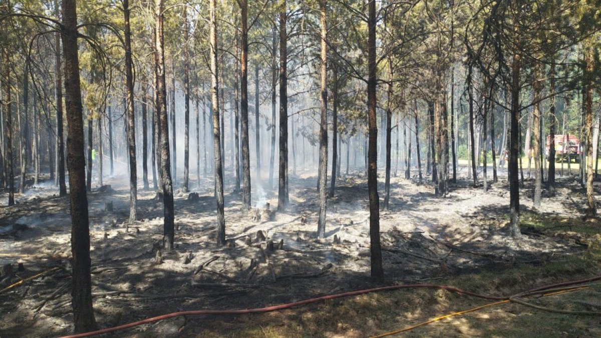 Superficie quemada en el incendio de Pinares. HDS
