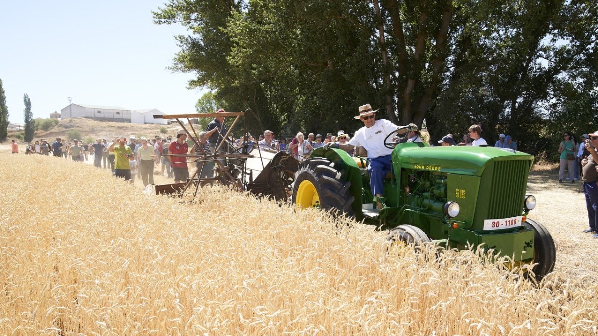 Alberto Martínez. FRANCISCO GARCÍA GIL