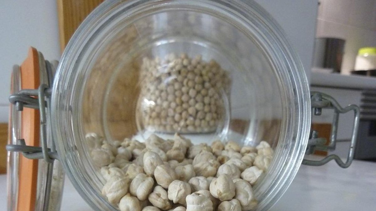 Garbanzo con pedigrí --TSJ