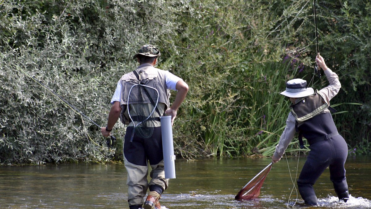 Uno de los participantes en el concurso de pesca del río Órbigo (León) cobra una pieza.-ICAL