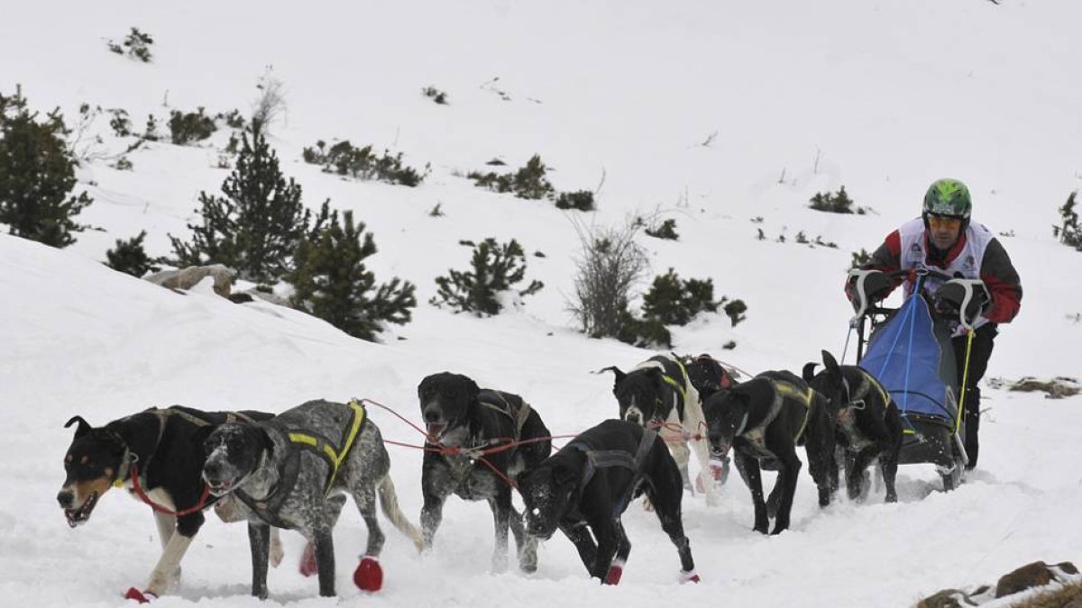 Un musher durante la primera prueba de la Soria Unlimited.-VALENTÍN GUISANDE
