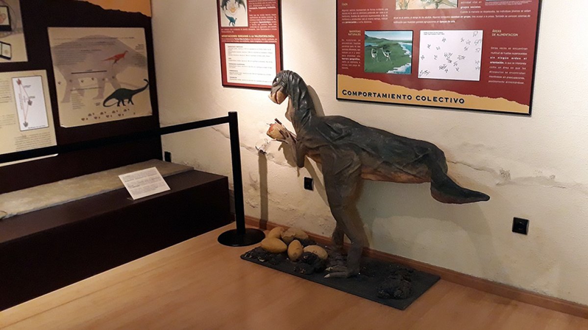 Aula paleontológica de Villar del Río. -M.T.
