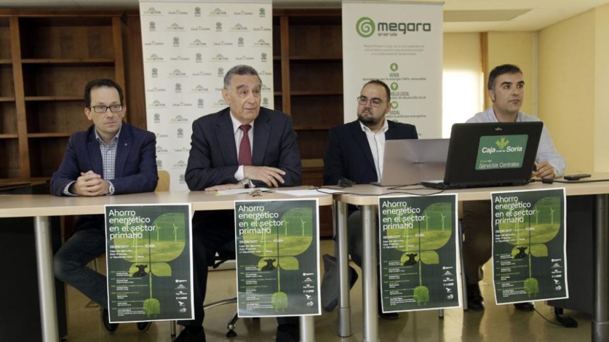 Megara ya puede acudir al mercado libre de electricidad-Luis Ángel Tejedor