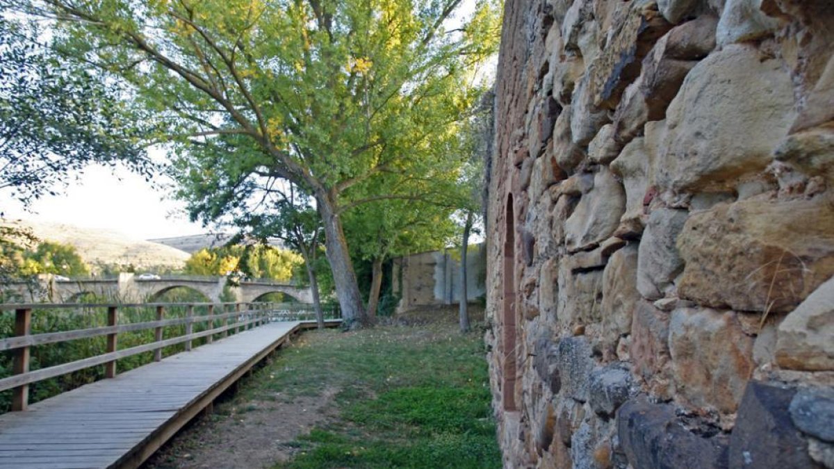 Lienzo de muralla junto al Duero.-Mario Tejedor