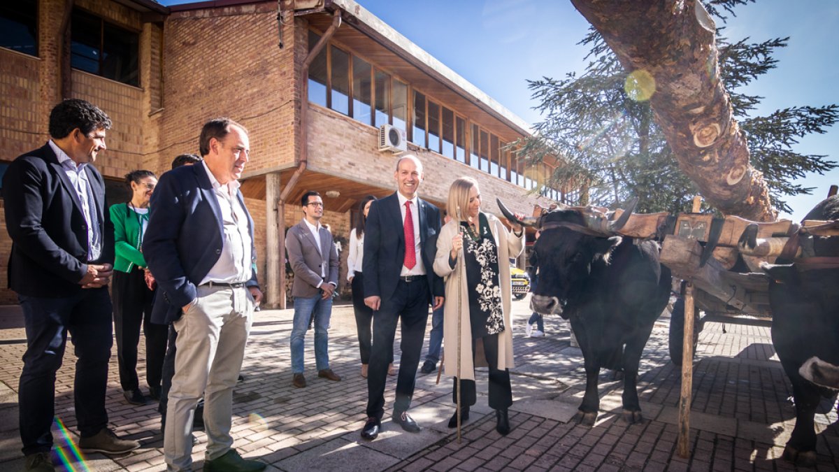 Duruelo ha recuperado con brío su feria en torno a la madera.-GONZALO MONTESEGURO