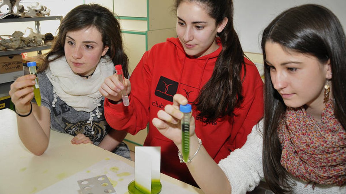 Inés López, Andrea García y Ana Ramírez, ayer, durante el taller en el IES Virgen del Espino. VALENTÍN GUISANDE-