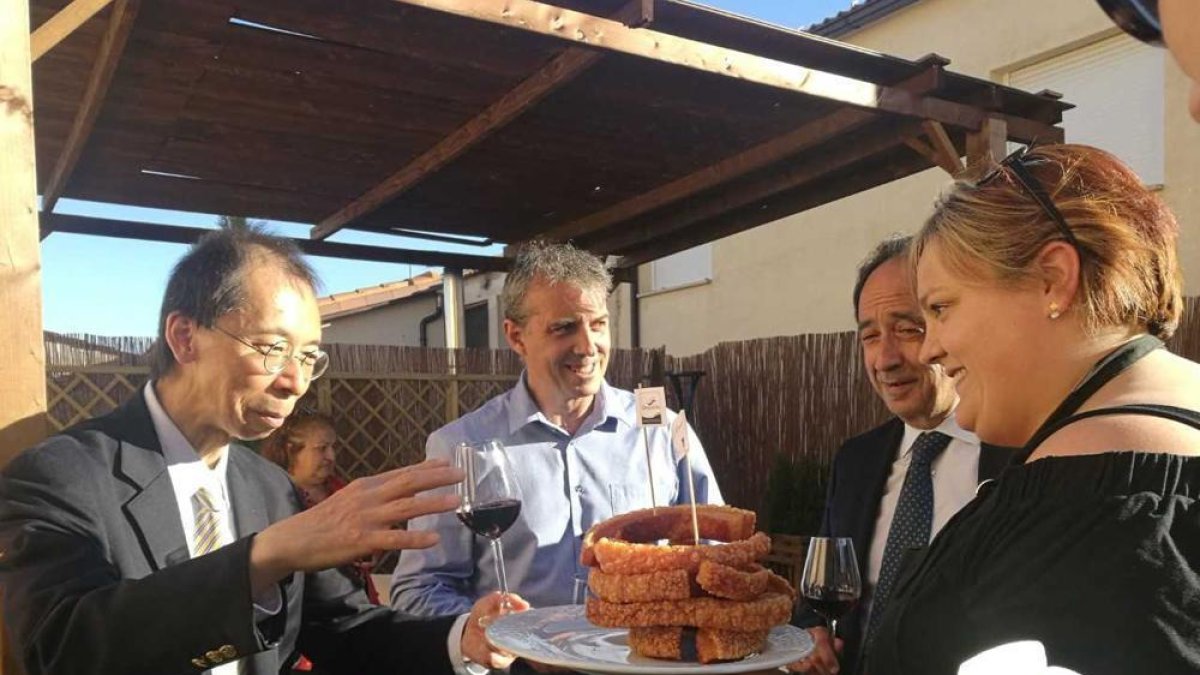 Un momento de la visita de la delegación japonesa-HDS