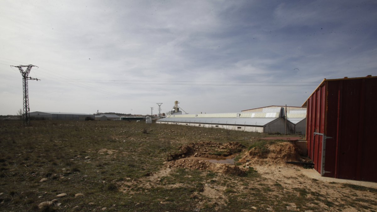 Terrenos donde se instalará el nuevo pozo de agua y los paneles solares.-MARIO TEJEDOR