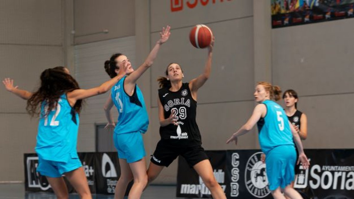El Semillas Adolfo Martínez no recibirá este domingo al Ventanas Arsan en el Polideportivo San Andrés. HDS