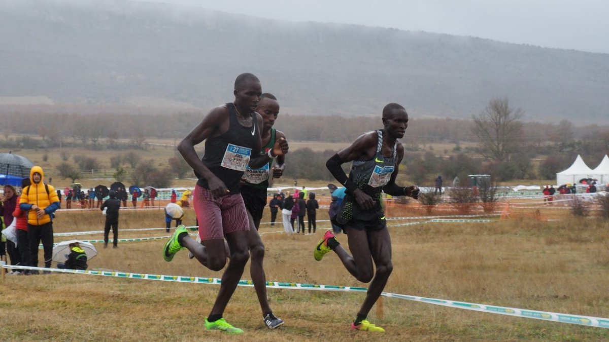El Cross de Soria 2022 se celebrará el 6 de noviembre. HDS