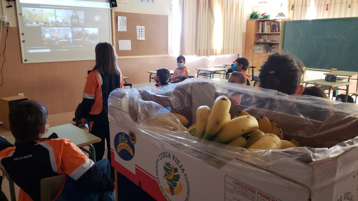 Los alumnos de Escolapios charlan con sus compañeros de La Palma. HDS
