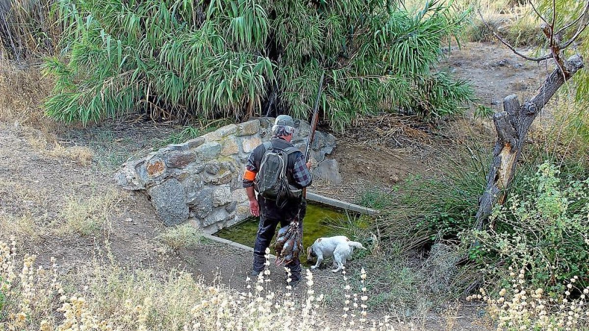 Un cazador dando agua de beber a su perra durante una calurosa jornada a la perdiz en Toledo, el pasado martes-EL MUNDO