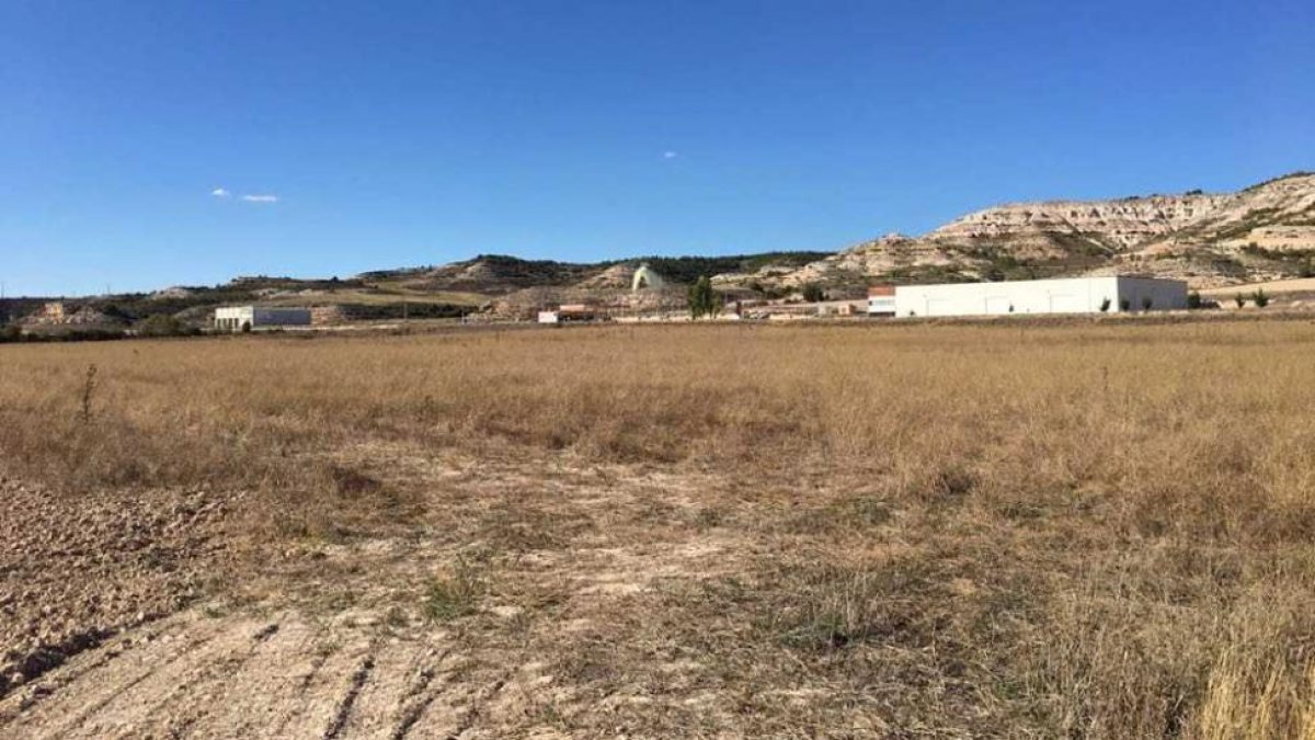 Terrenos donde está proyectada la planta-D.S.