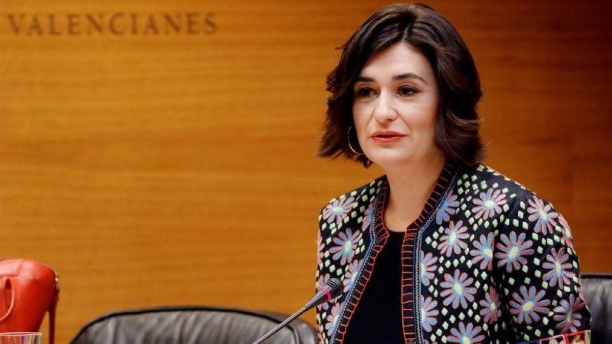 Carmen Montón, ministra de Sanidad, Consumo y Bienestar Social-EL PERIÓDICO (ARCHIVO)
