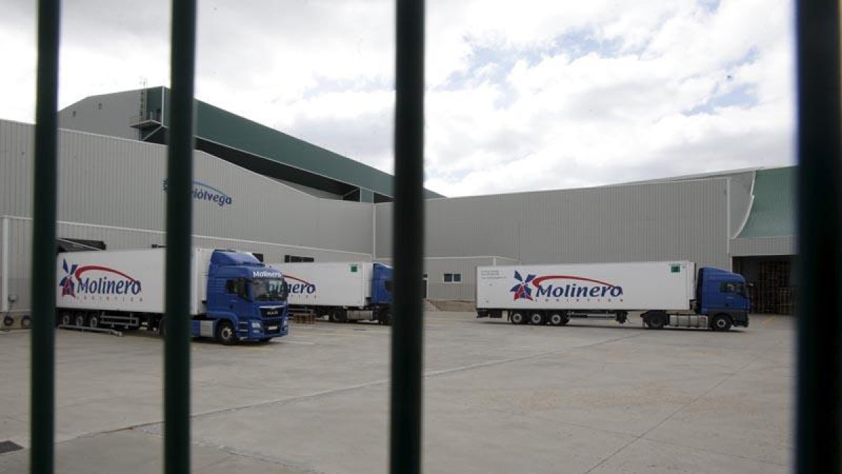 Camiones en los mulles de carga de Friólvega.-LUIS ÁNGEL TEJEDOR