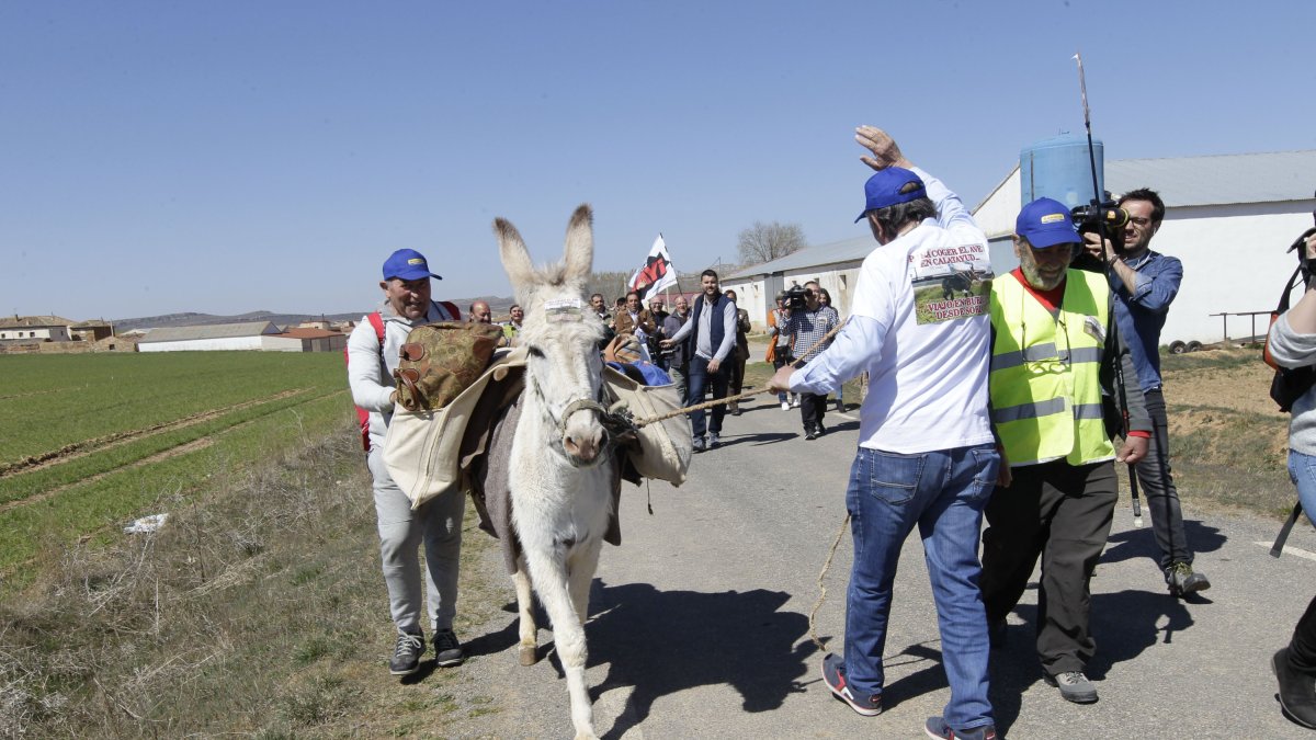El alcalde de Torrubia, Raimundo Martínez, con la burra Margarita. MARIO TEJEDOR