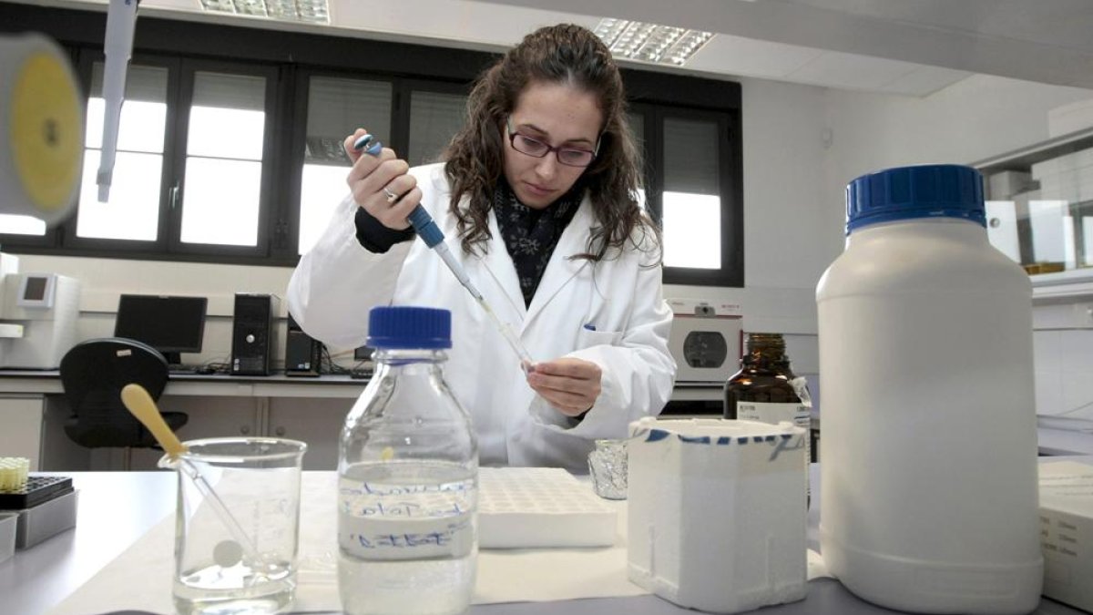 El Centro para la Calidad de los Alimentos verá reforzada su capacidad investigadora.-HDS