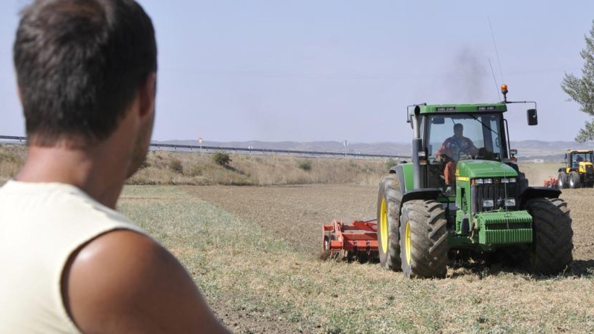 Trabajadores del campo en plena faena.-VALENTÍN GUISANDE