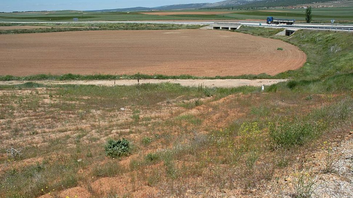 Terrenos ofertados por Almenar para la creación del Cylog.-VALENTÍN GUISANDE
