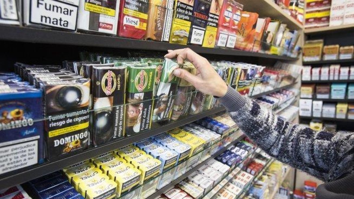 Brasil es líder mundial en la exportación de hojas de tabaco desde hace 26 años.-EL PERIÓDICO