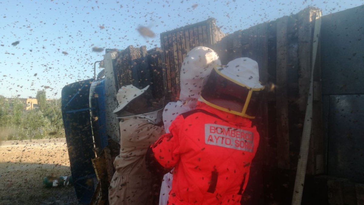 BOMBEROS DE SORIA
