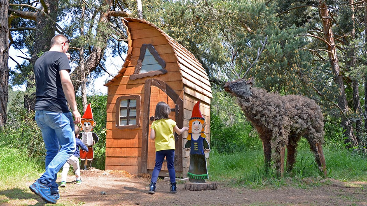 El bosque mágico de San Leonardo - RAQUEL FERNANDEZ