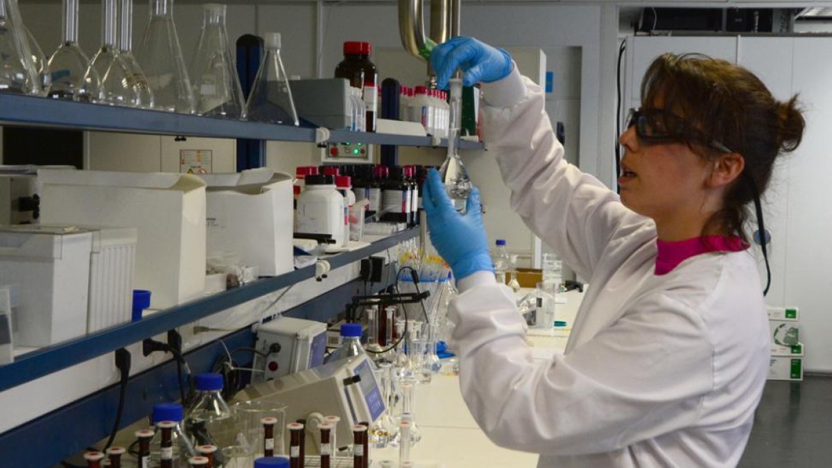 Laboratorios de Cyndea-A.M.