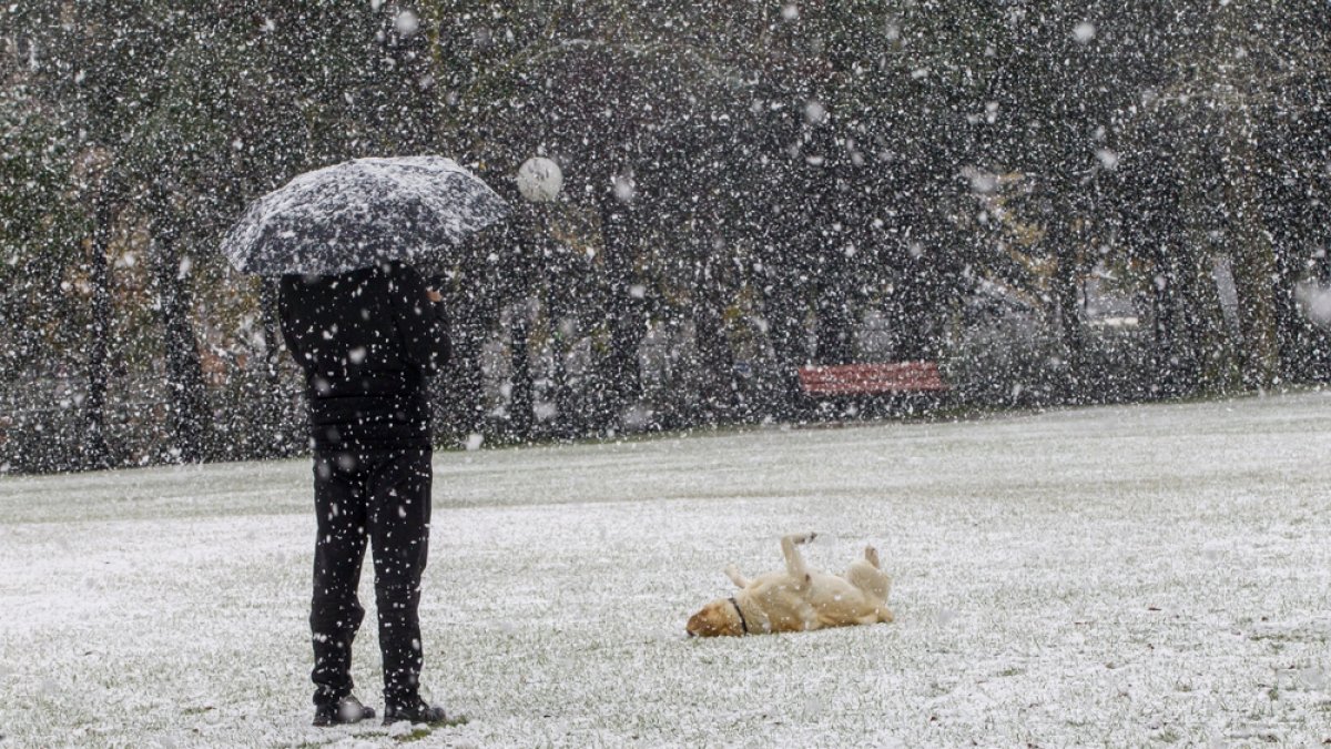 Una persona se resguarda de la nieve con un paraguas en Soria la pasada semana. MARIO TEJEDOR