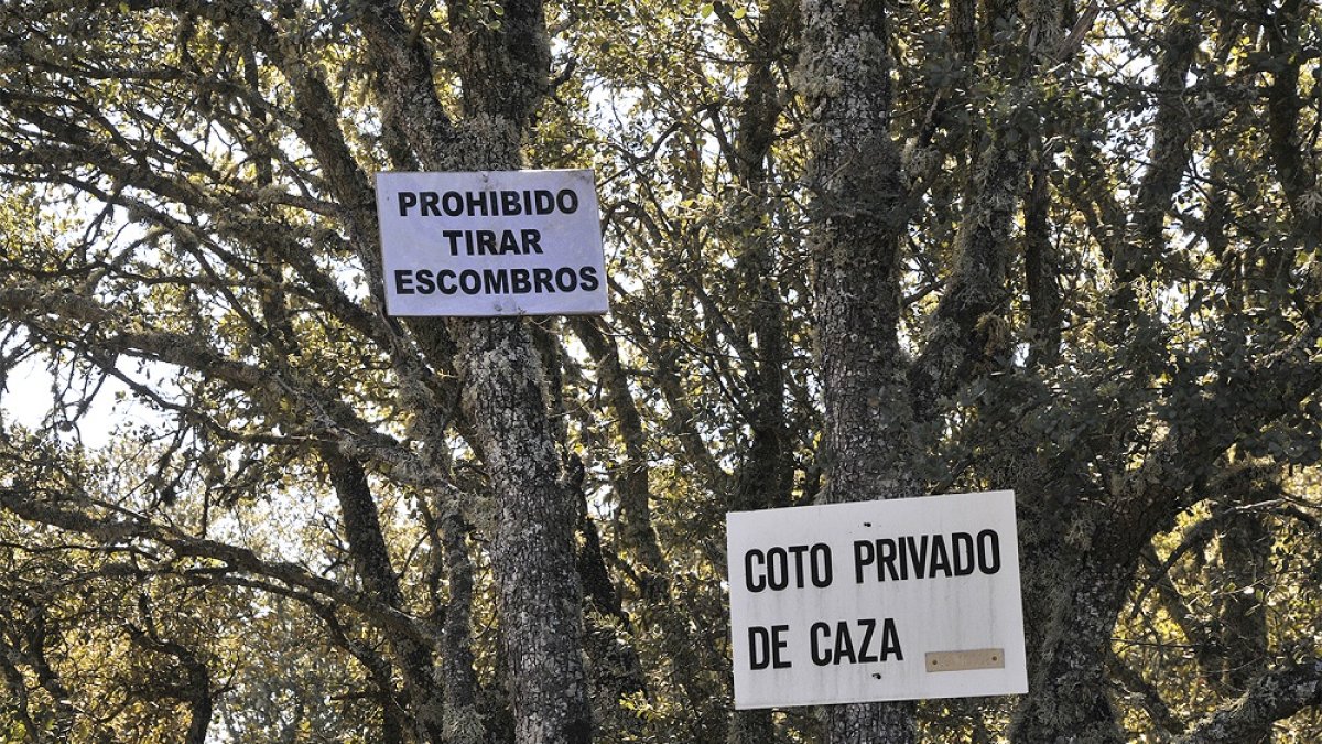 COTOS DE CAZA. El sector cinegético resulta fundamental para numerosos municipios de la provincia, a los que deja ingresos. HDS