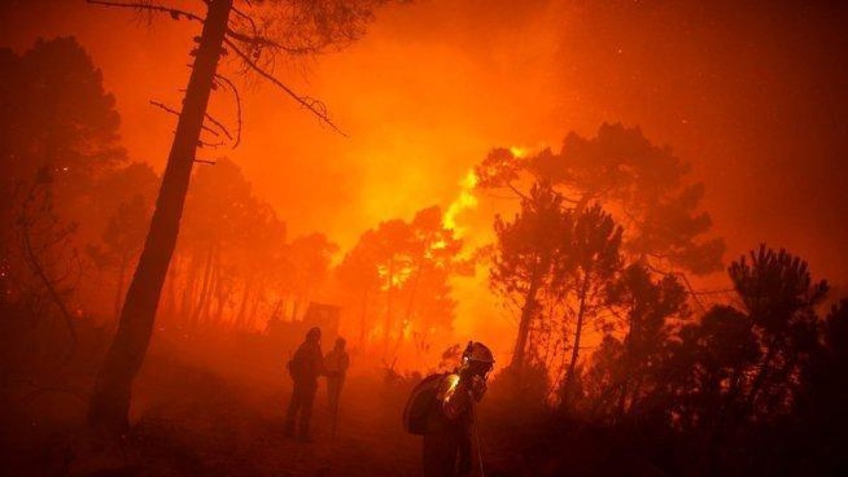 La Armada de Colombia señaló en un comunicado que los incendios se intensificaron entre julio y agosto por la temporada de calor y los fuertes vientos.-EFE