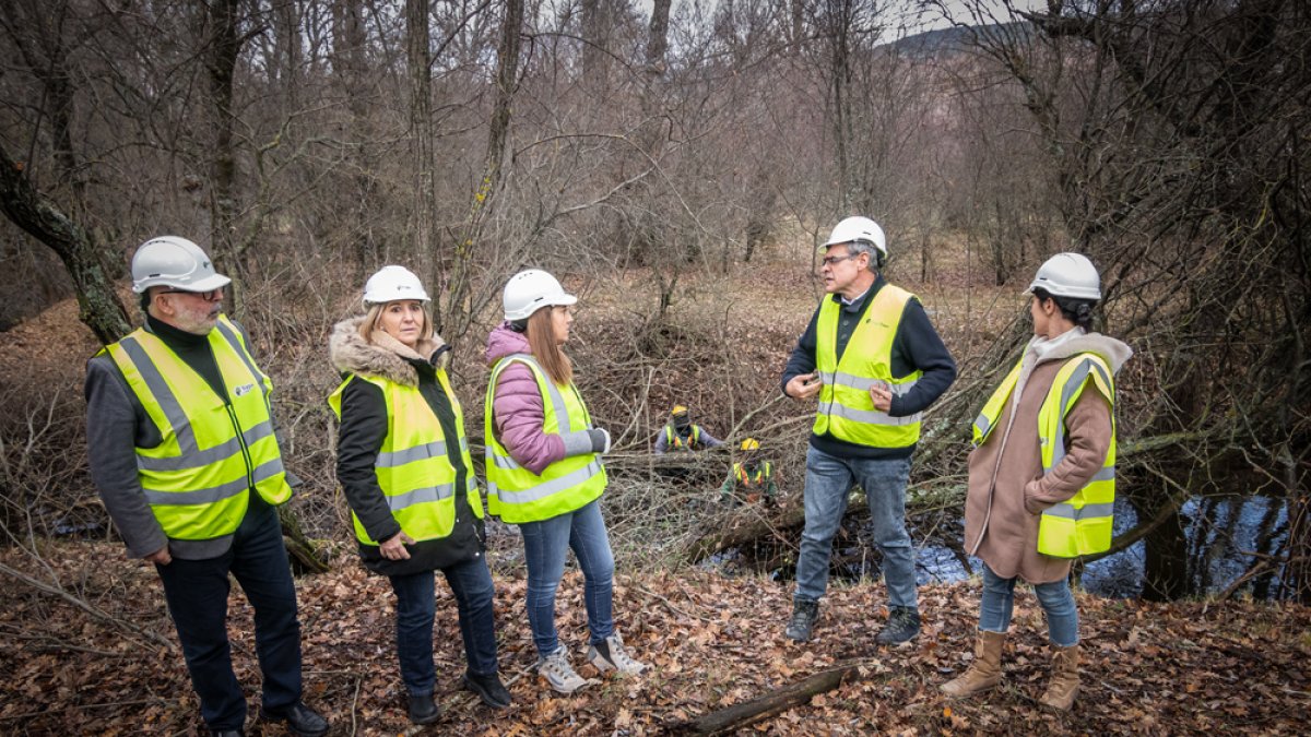 Miguel Latorre, María Jesús Lafuente, Virginia Barcones y María de la O García junto a un técnico. GONZALO MONTESEGURO