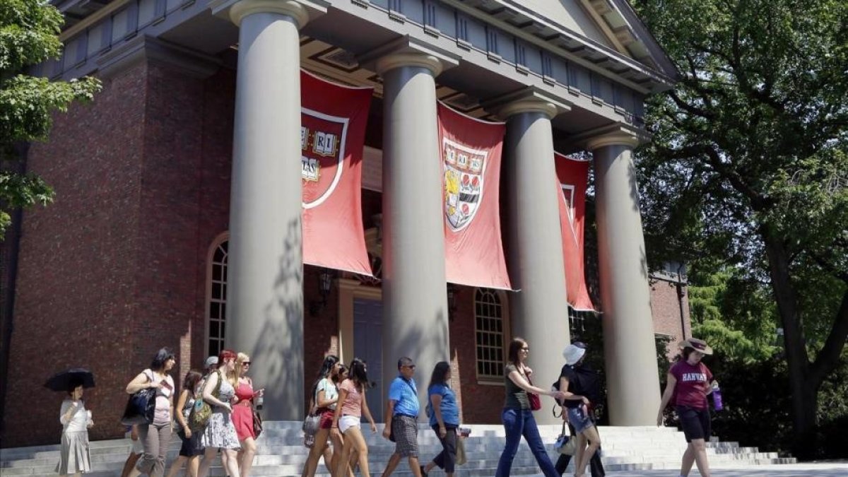 Universidad de Harvard en Cambridge.-AP