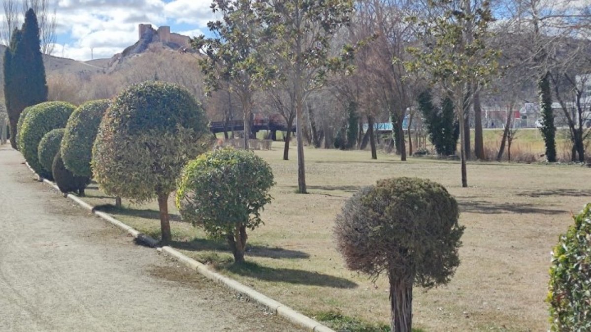 Parque del Carmen en El Burgo de Osma. HDS