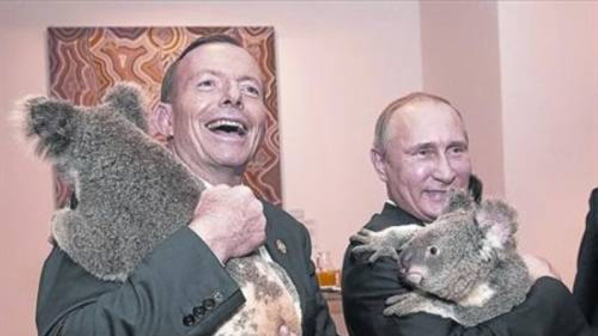 Putin (izquierda) y el primer ministro australiano, Tony Abbott, posan con koalas antes de la cumbre del G-20.-Foto: REUTERS