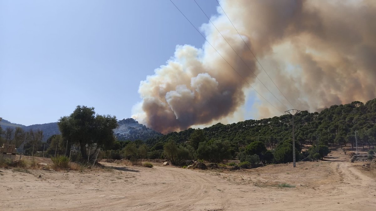 Incendio forestal en una imagen de archivo. HDS