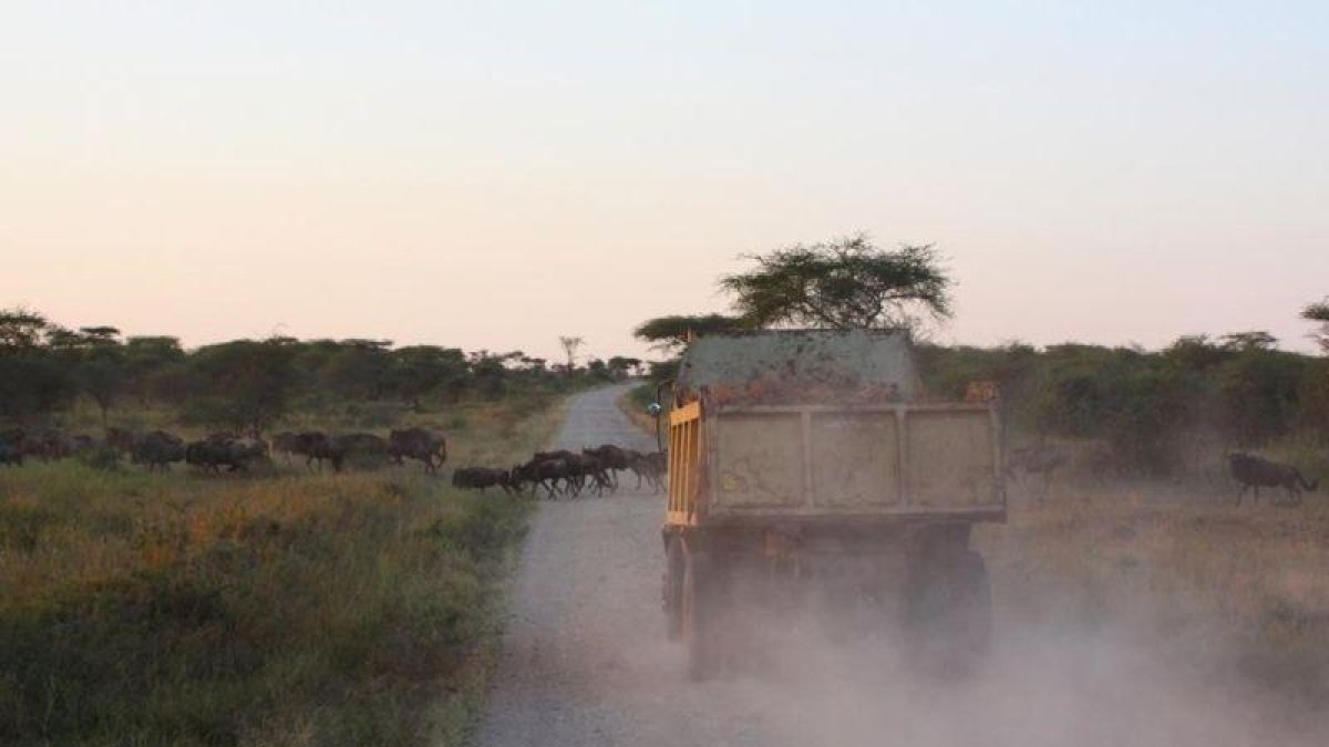 Un camión conduciendo por un camino en Tanzania.-XAVIER SURINYACH