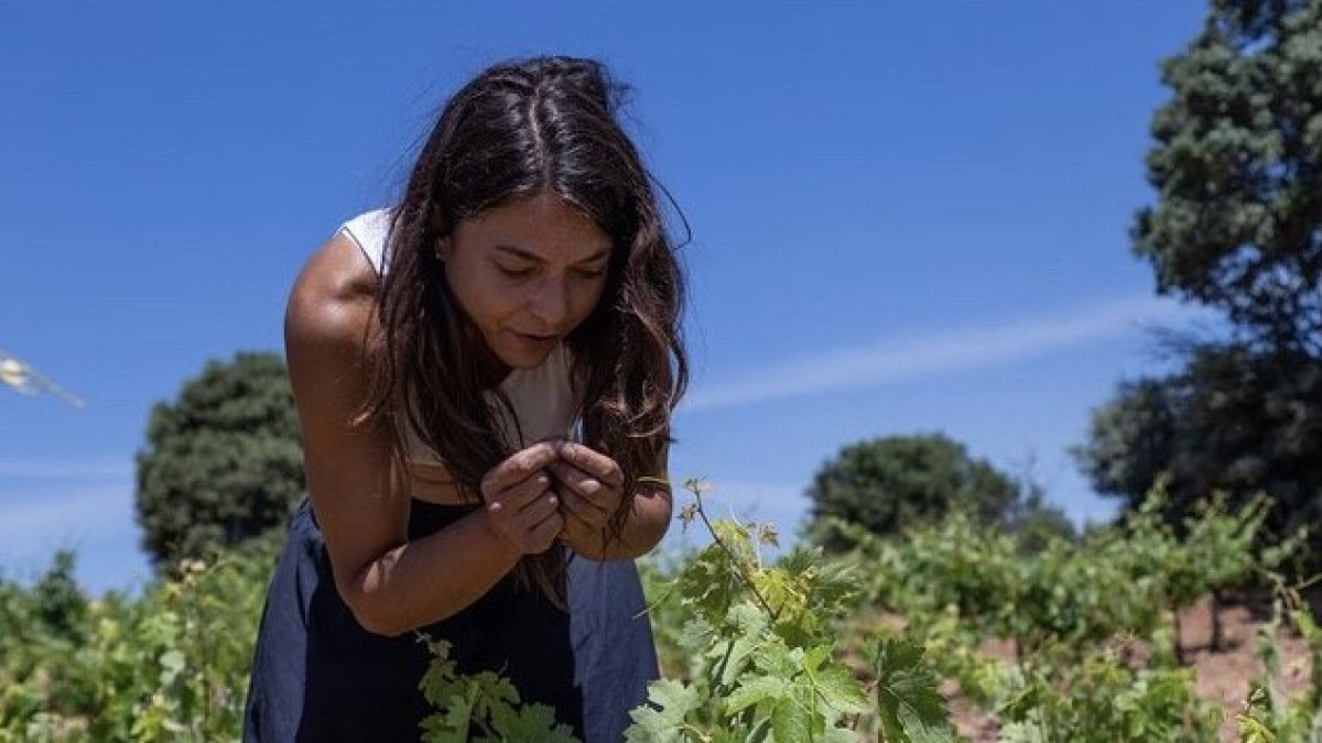 Ana Carazo en sus viñedos de Matanza de Soria. HDS
