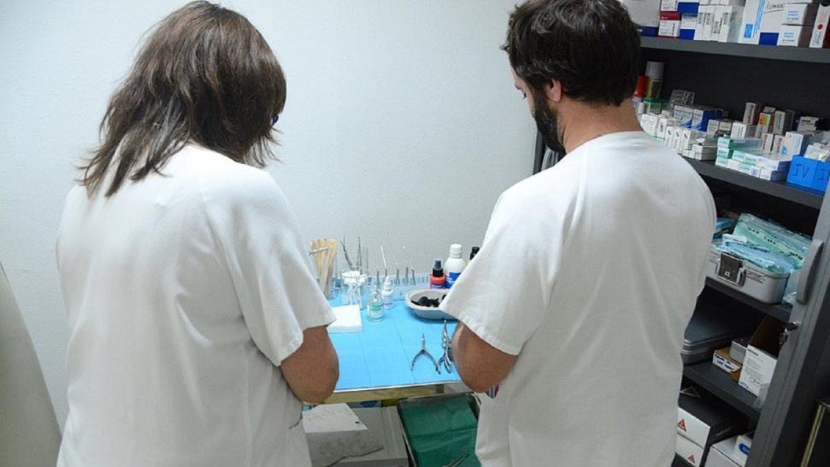 La implicación delpersonal de Microbiología del hospital de Santa Bárbara de Soria ha sido total.-ÁLVARO MARTÍNEZ