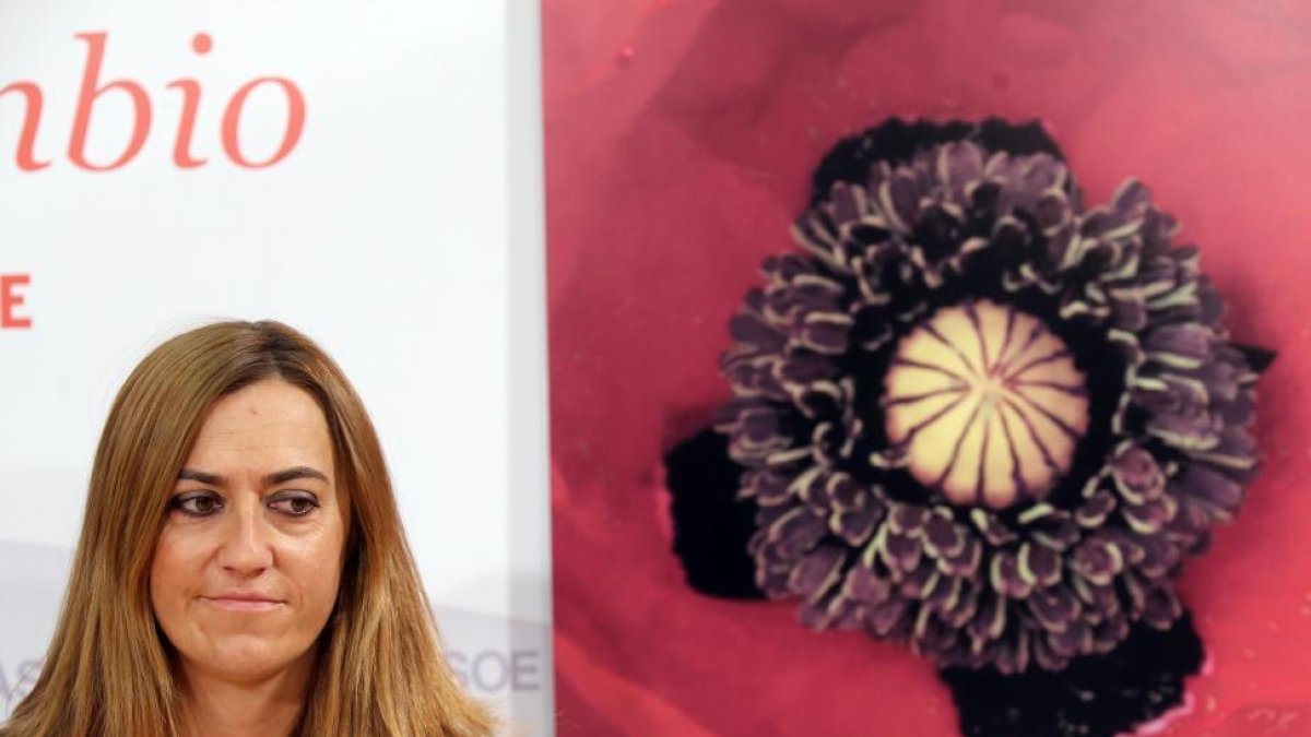 La secretarias del PSCyL de Política Municipal, Virginia Barcones, aborda la situación actual en las negociaciones de la Ordenación del Territorio.-ICAL