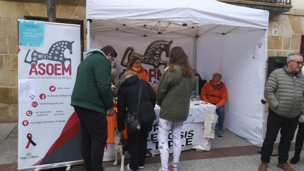 Mercadillo de la Asociación Soriana de Esclerosis Múltiple. HDS