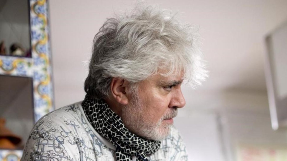 Pedro Almodóvar, durante el rodaje de 'Julieta'.-MANOLO PAVÓN