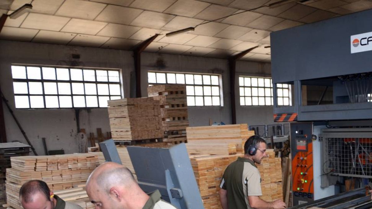Trabajadores de la cooperativa Picos de Urbión, en Duruelo de la Sierra.-RAQUEL FERNÁNDEZ