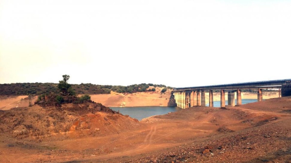 Estado que presenta actualmente el embalse del Esla-JOSÉ LUIS CABRERO