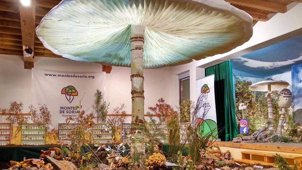 Adorno de Montes de Soria con una seta gigante.-HDS