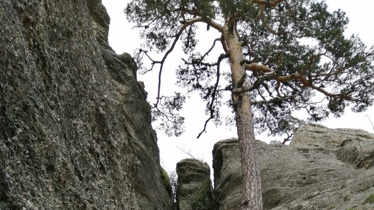 Zona de catas para el mirador de Castroviejo. HDS