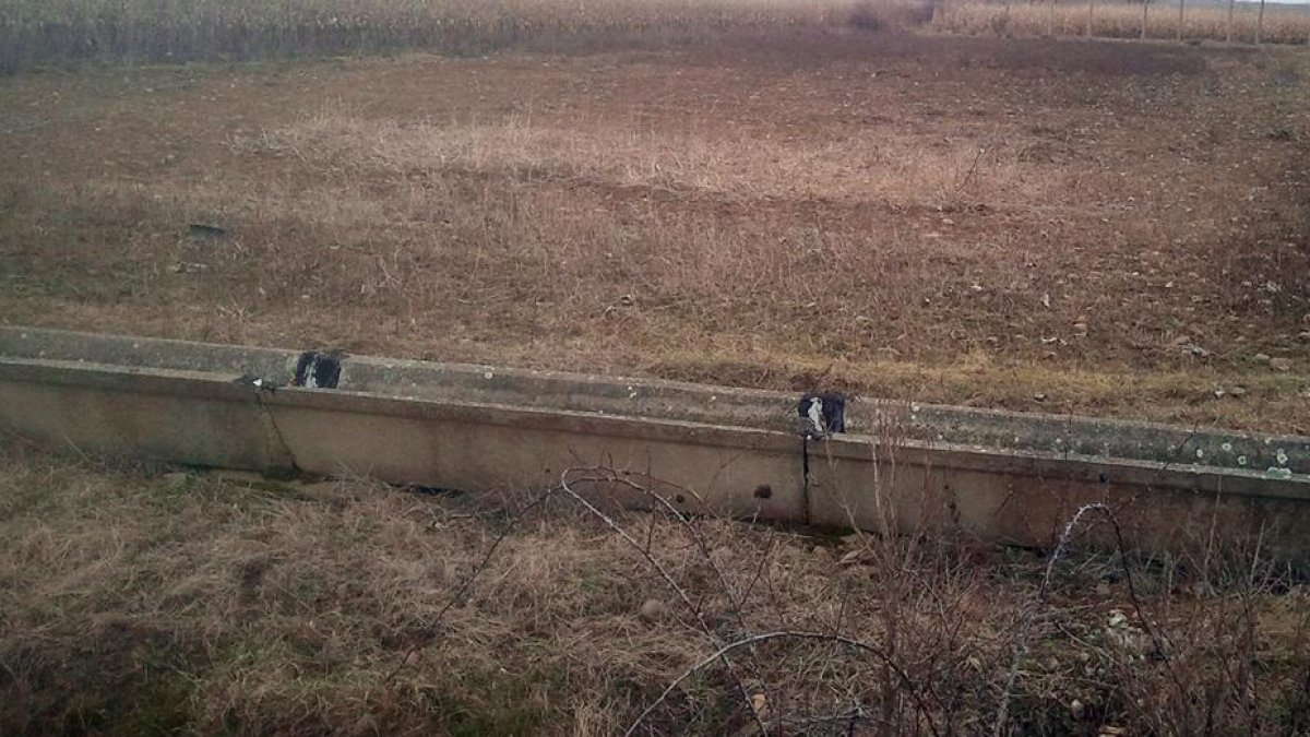 Tierras de cultivo abandonadas en la provincia de Soria.-ÁLVARO MARTÍNEZ