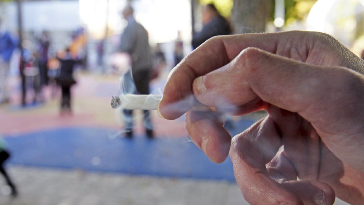 El tabaco fue detectado en San Pedro Manrique. HDS