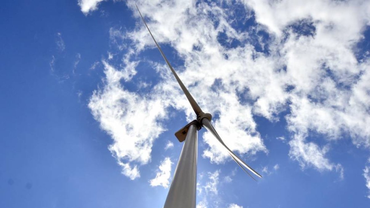 Aerogeneradores de un parque eólico.-HDS