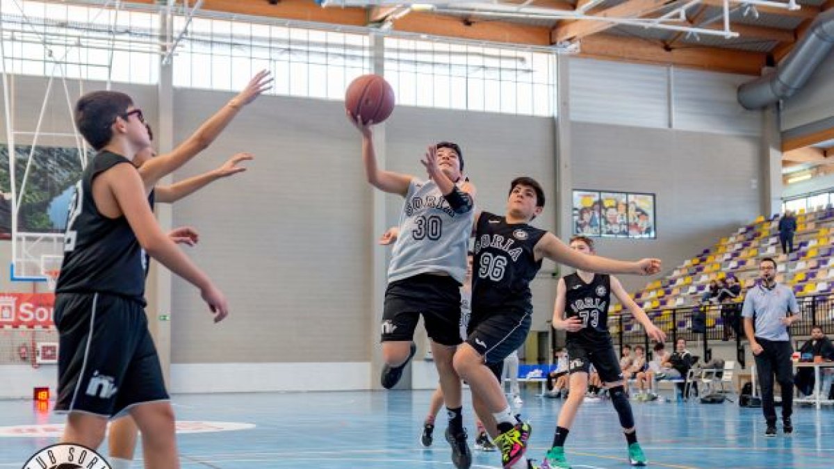 El Club Soria Baloncesto tiene diecisiete equipos en la presente temporada. HDS