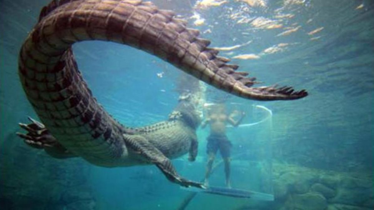 Imagen del programa 'Tarugos contra bestias' que emite Be Mad.-